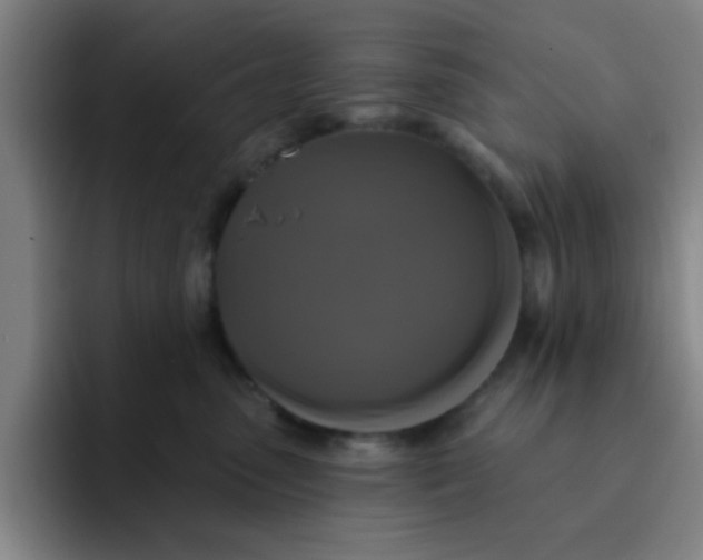 X0000091910475200709261719