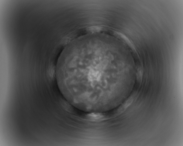 X0000091910477200709261719