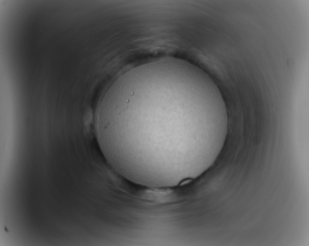 X0000091910480200709261719