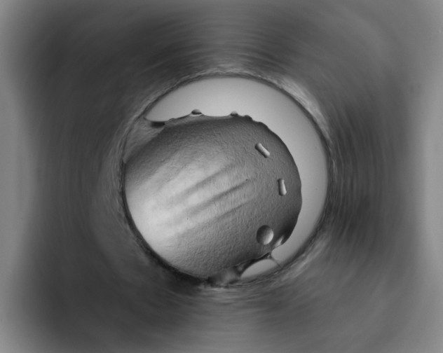 X0000091910481200709261718