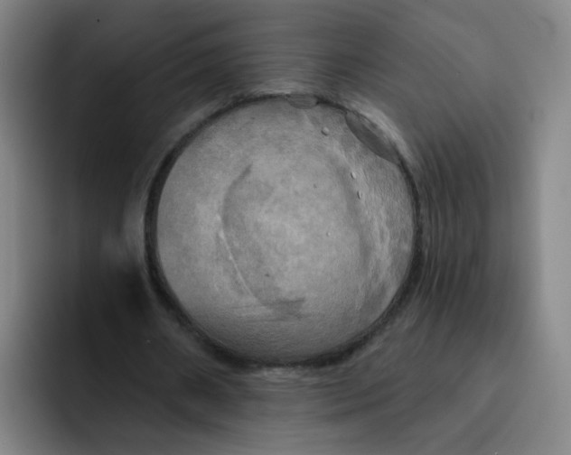 X0000091910482200709261718