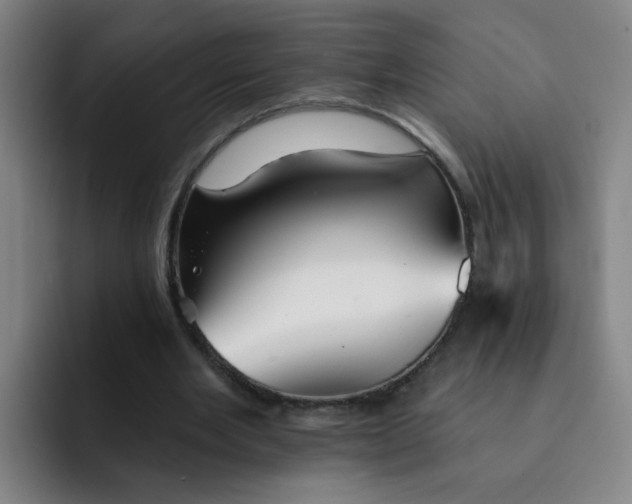 X0000091910485200709261718