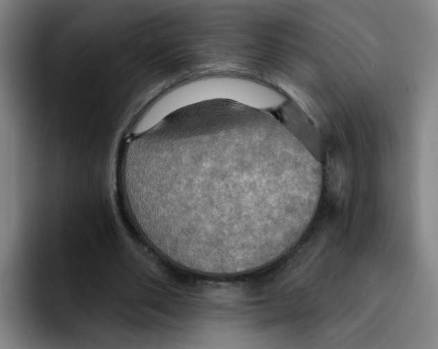 X0000091910486200709261718