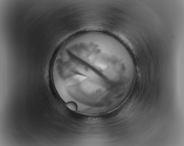 X0000091910487200709261718