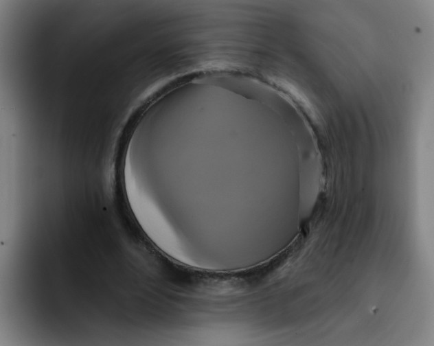 X0000091910488200709261718