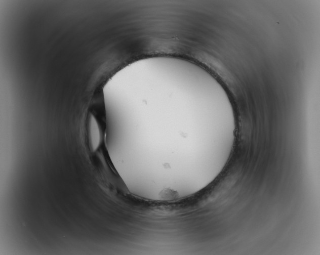 X0000091910489200709261718