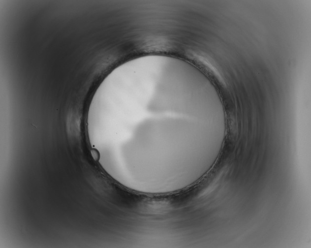 X0000091910491200709261718