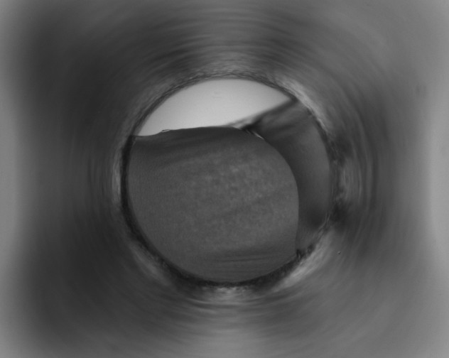 X0000091910493200709261718