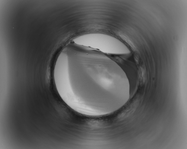 X0000091910494200709261718