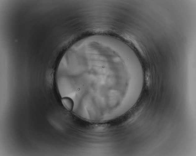 X0000091910495200709261718