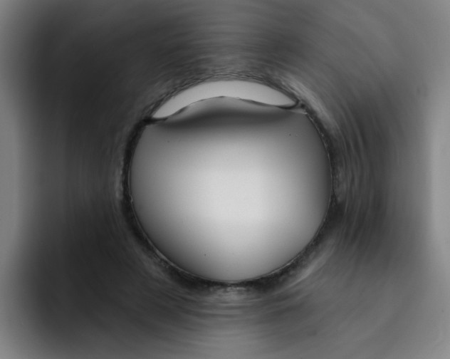 X0000091910497200709261718