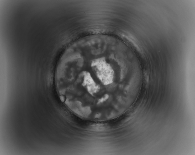 X0000091910499200709261718