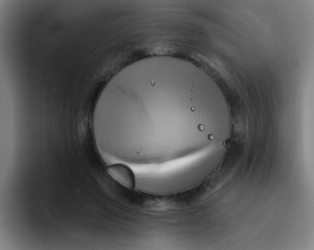 X0000091910503200709261718