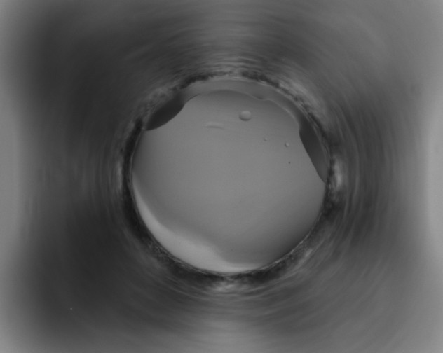 X0000091910504200709261718