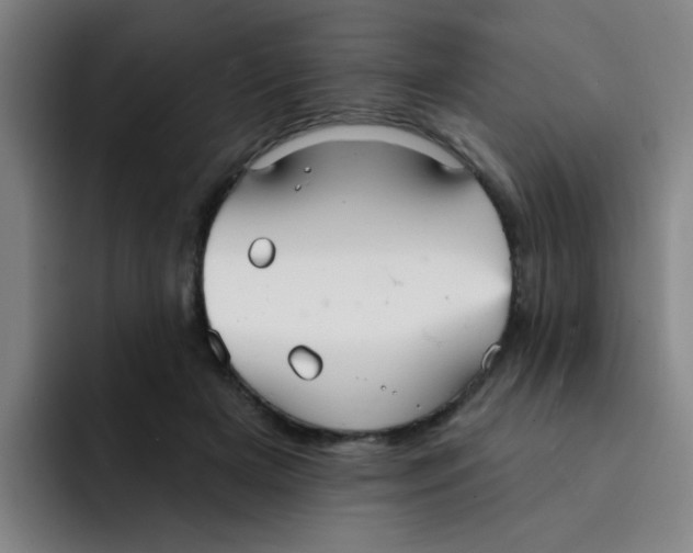 X0000091910505200709261718