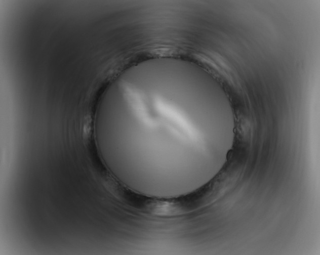 X0000091910507200709261718