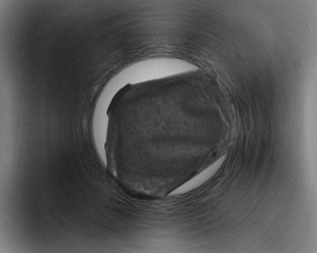 X0000091910508200709261718