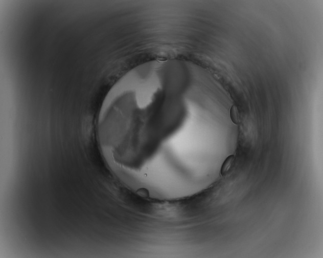 X0000091910511200709261718