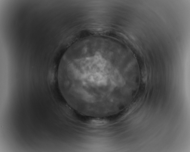 X0000091910515200709261718