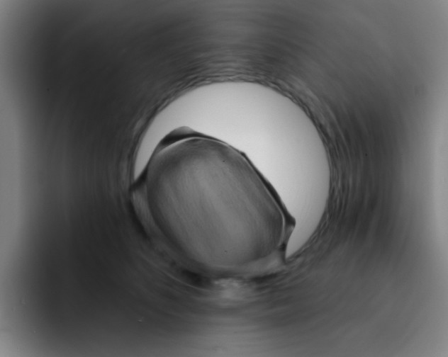 X0000091910516200709261718