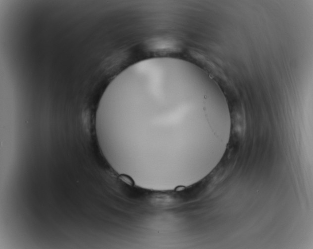 X0000091910519200709261718