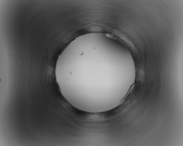 X0000091910521200709261718