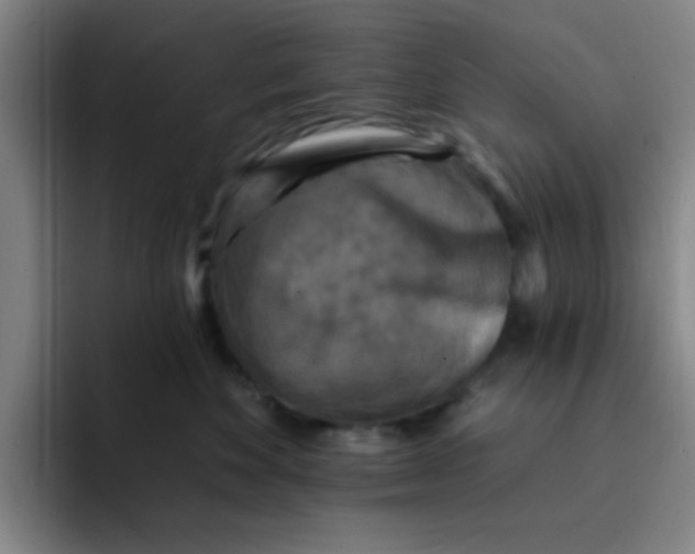 X0000091910524200709261718