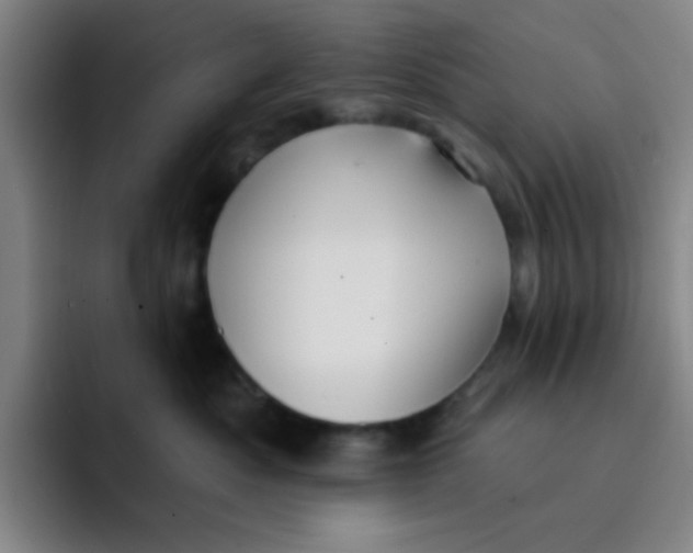 X0000091910525200709261718