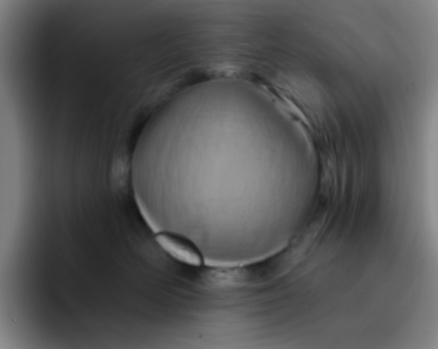 X0000091910526200709261718