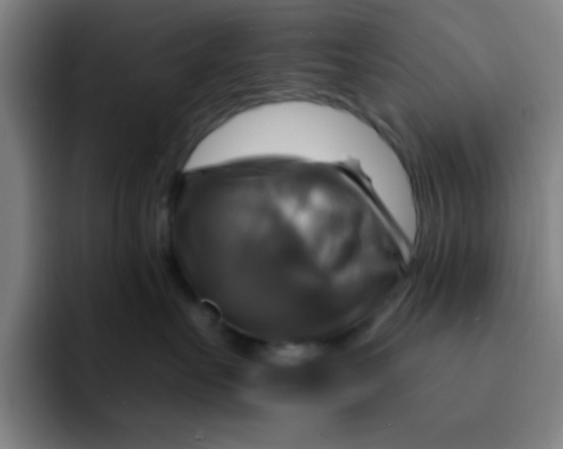 X0000091910527200709261718