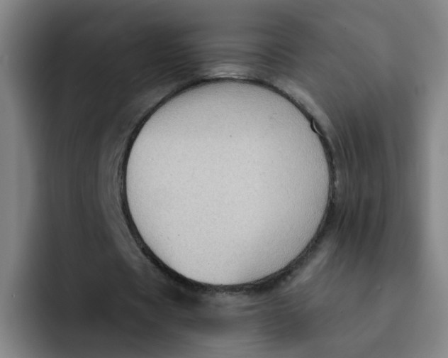 X0000091910529200709261717