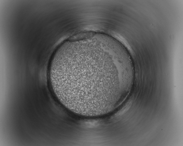 X0000091910530200709261717