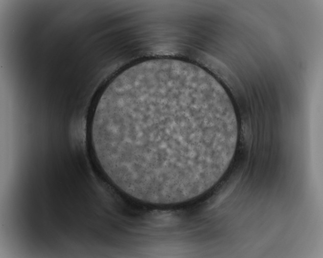 X0000091910534200709261717