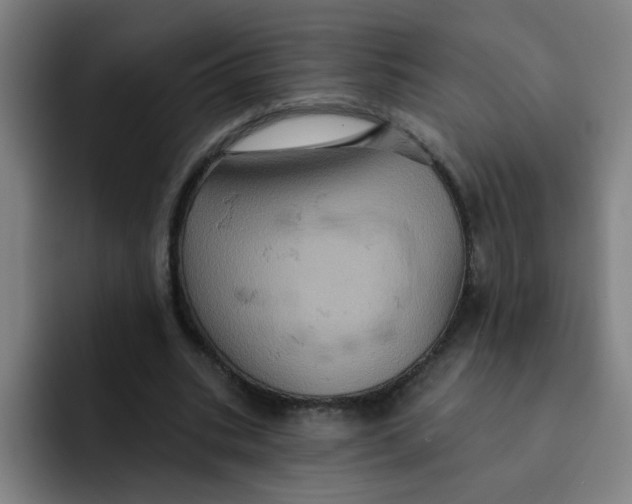 X0000091910535200709261717