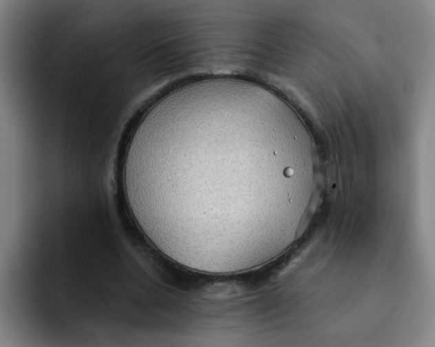 X0000091910536200709261717