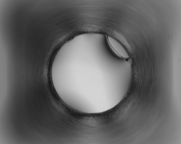 X0000091910538200709261717