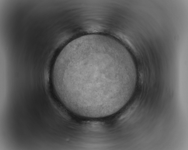 X0000091910539200709261717