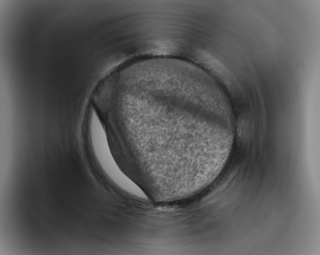 X0000091910540200709261717