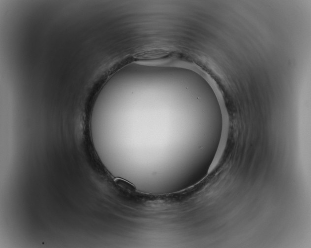 X0000091910544200709261717