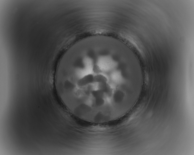 X0000091910545200709261717