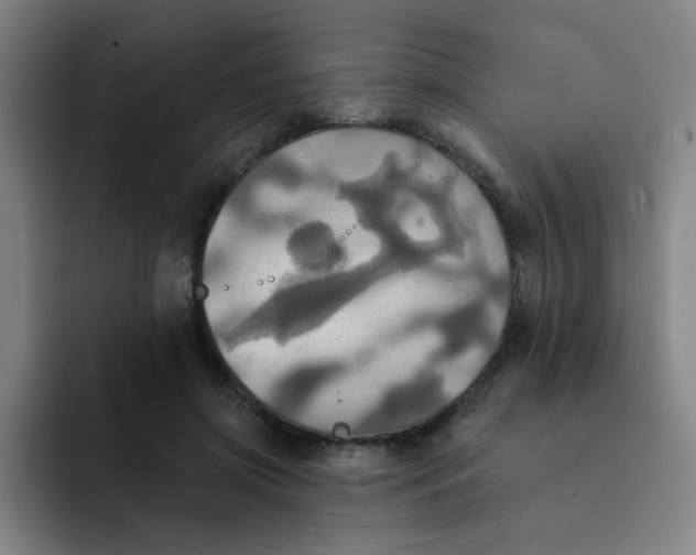 X0000091910549200709261717