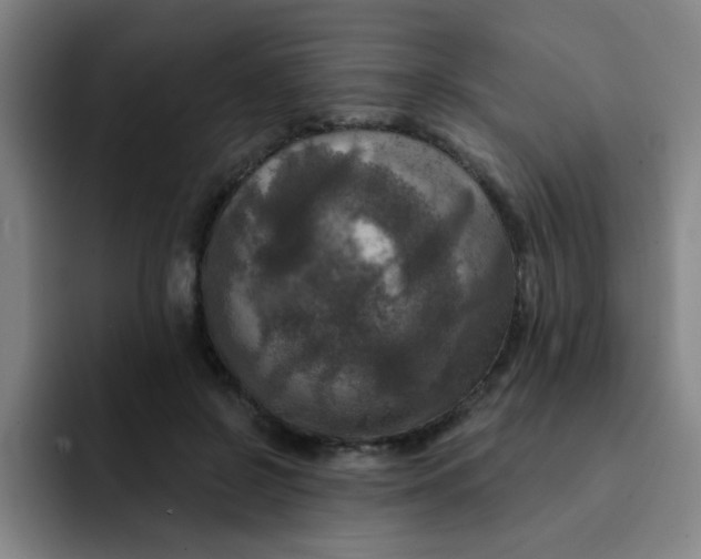 X0000091910550200709261717