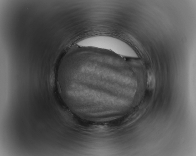 X0000091910552200709261717