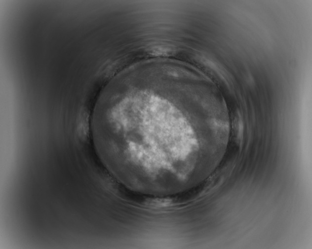 X0000091910554200709261717