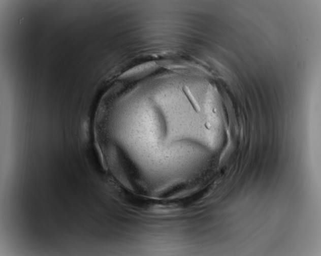 X0000091910556200709261717