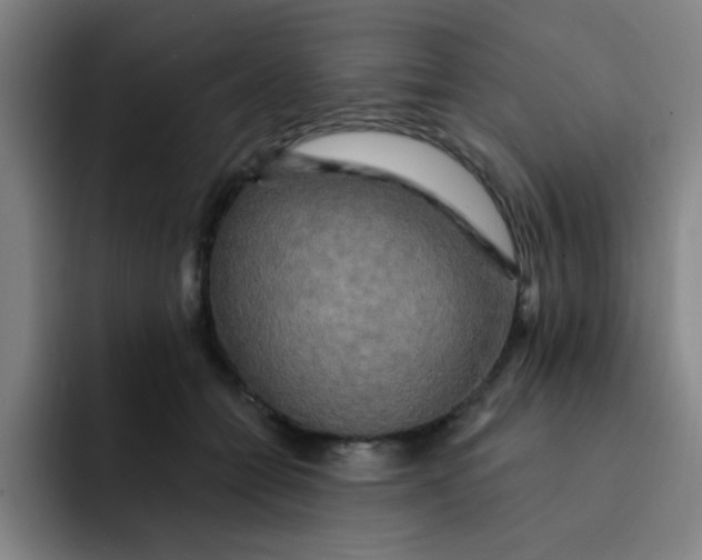 X0000091910558200709261717