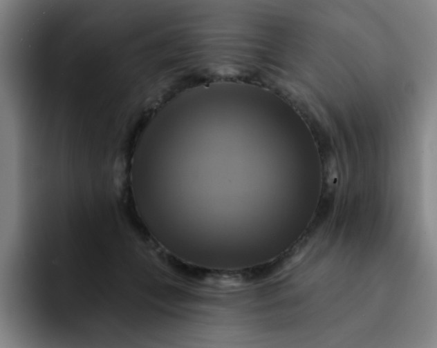 X0000091910559200709261717