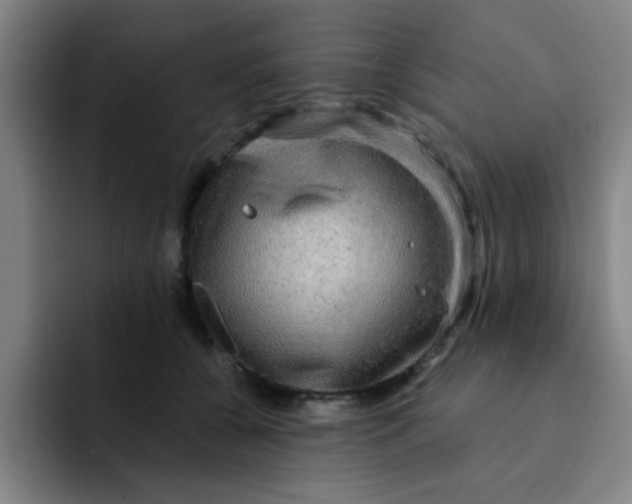 X0000091910560200709261717