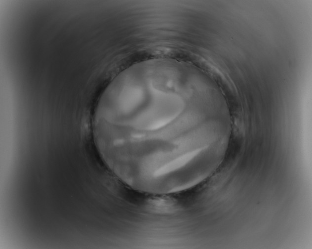 X0000091910561200709261718