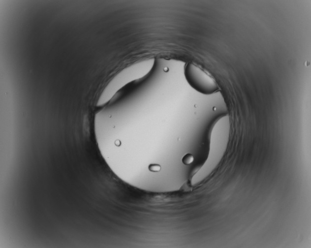 X0000091910562200709261718